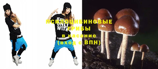 спиды Богородицк