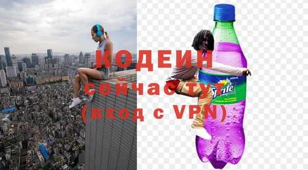 спиды Богородицк