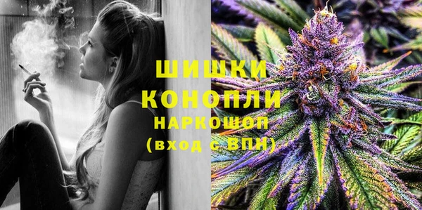 спиды Богородицк