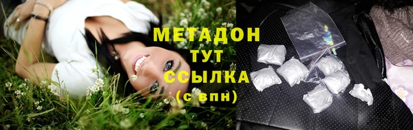 дмт Бородино
