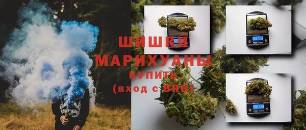 дживик Богородск