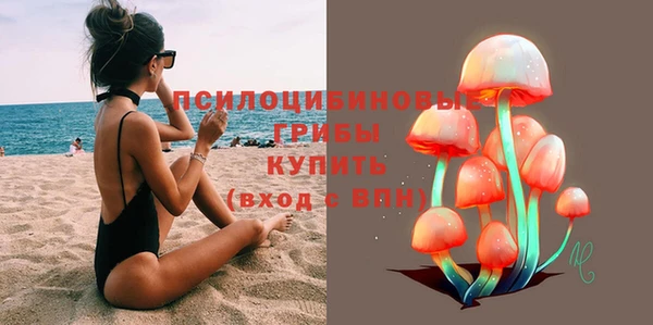 дживик Богородск