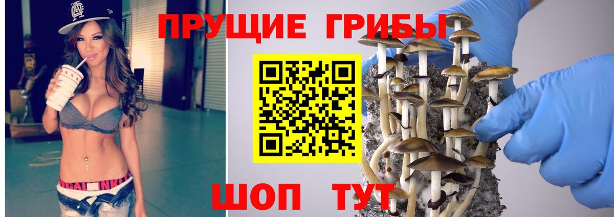 Псилоцибиновые грибы мухоморы Улан-Удэ